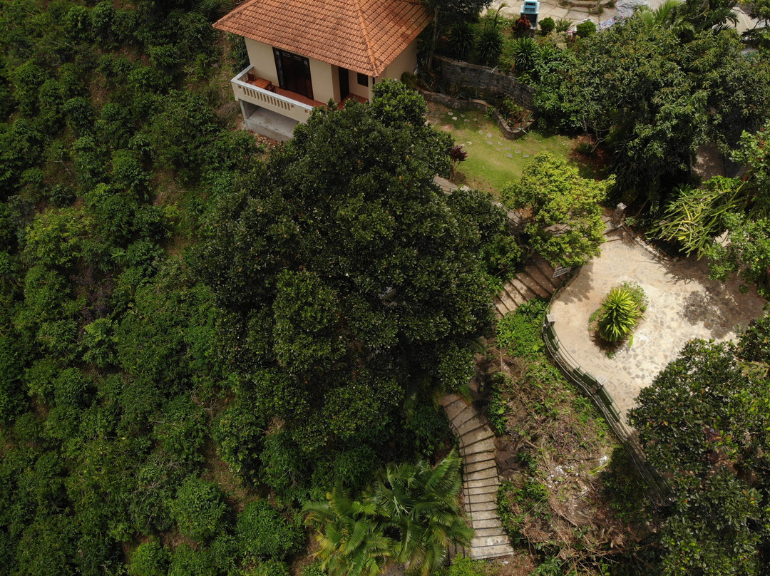 Ivory Falls Villa主图