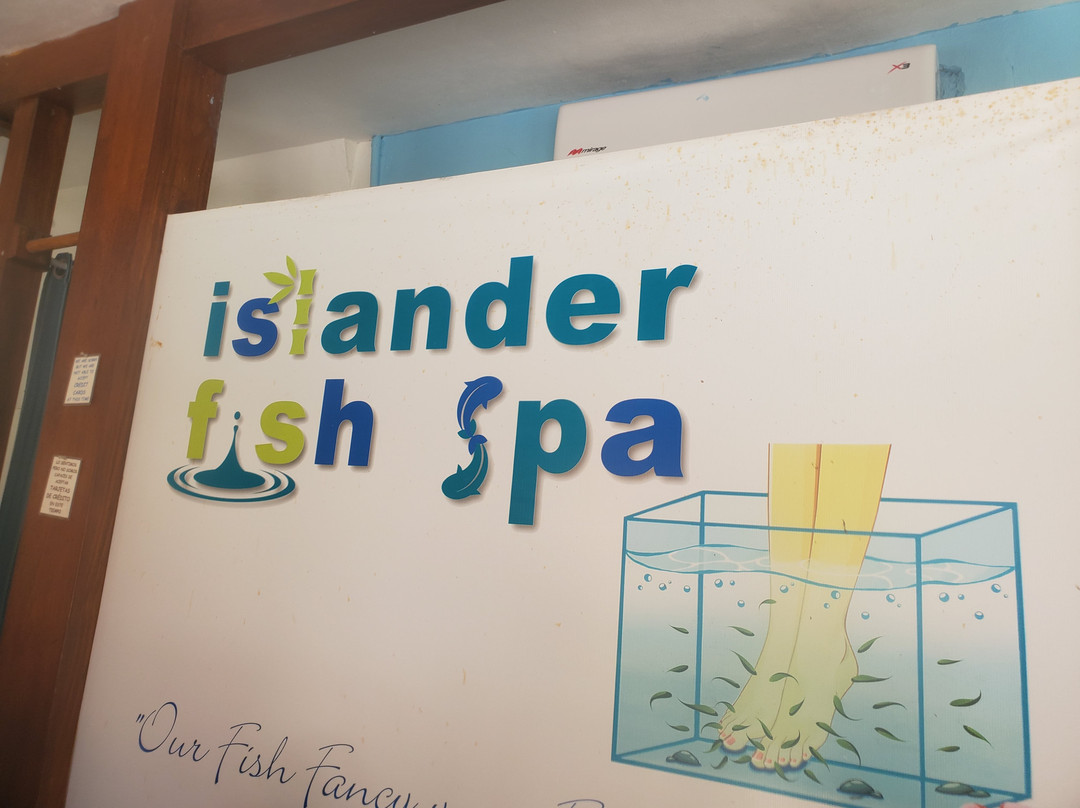 Islander Fish Spa-考祖梅必去景点