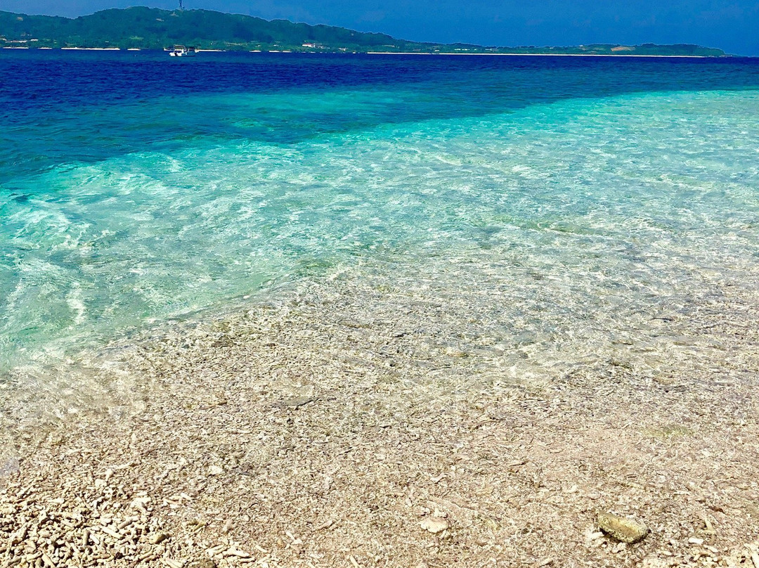 Barasu Island景点图片