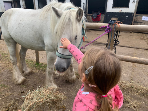 George Mead Memorial Stables