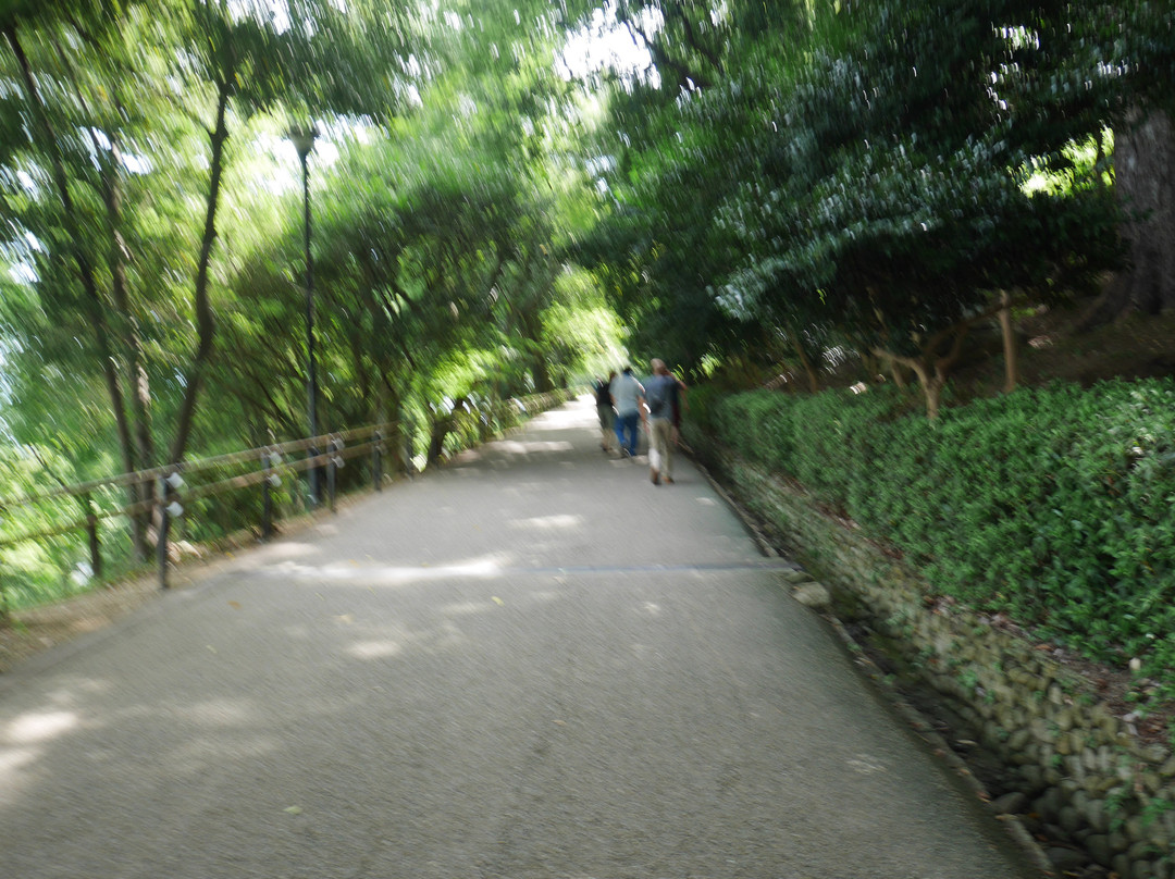 Kameyama Park (Marugame Castle)-丸龟市必去景点