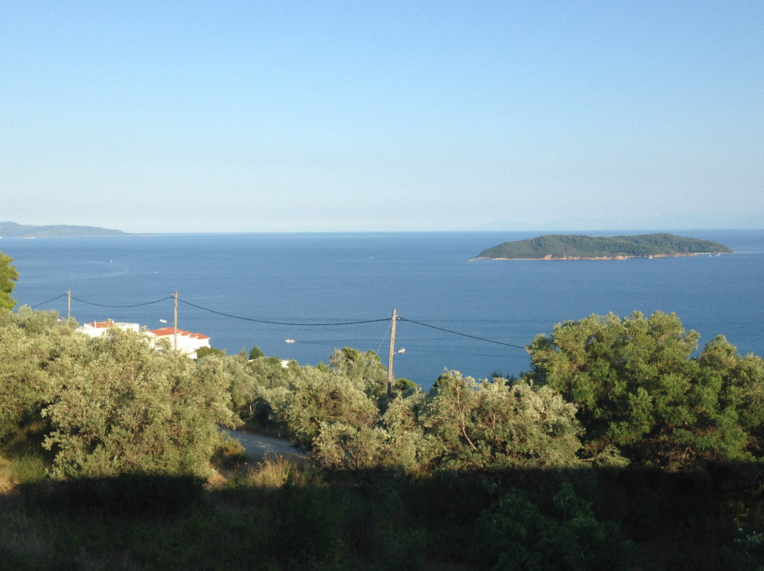 Paradise Hotel主图