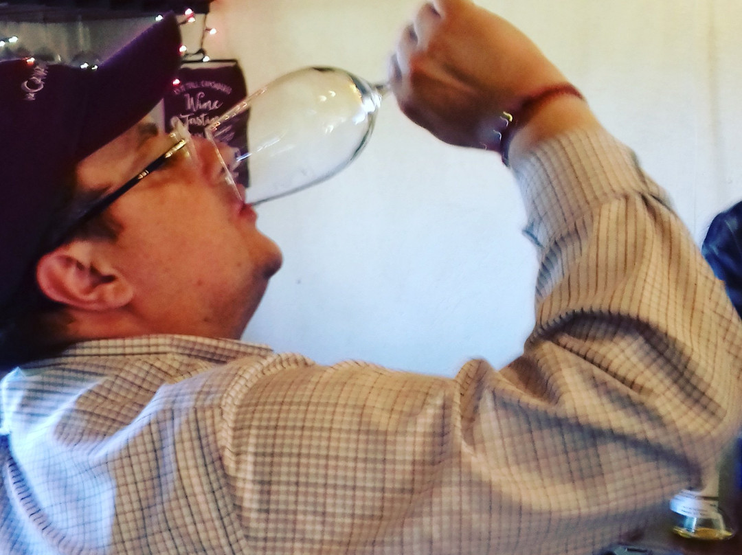 The Wine Route-恩塞纳达必去景点