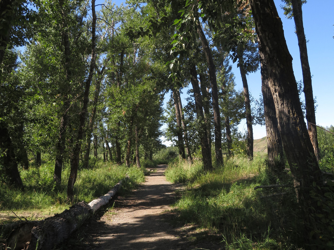 Wyndham-Carseland Provincial Park景点图片