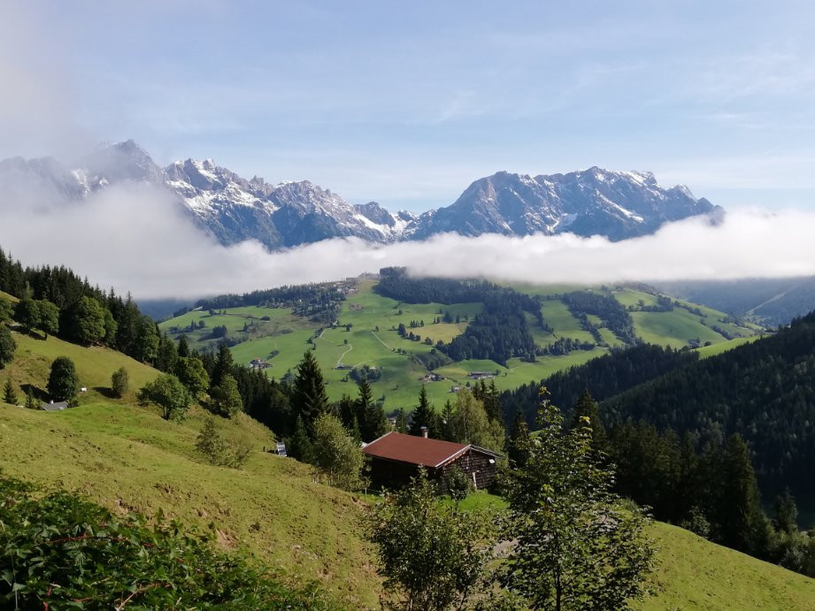Hotel Gasthof Moserwirt