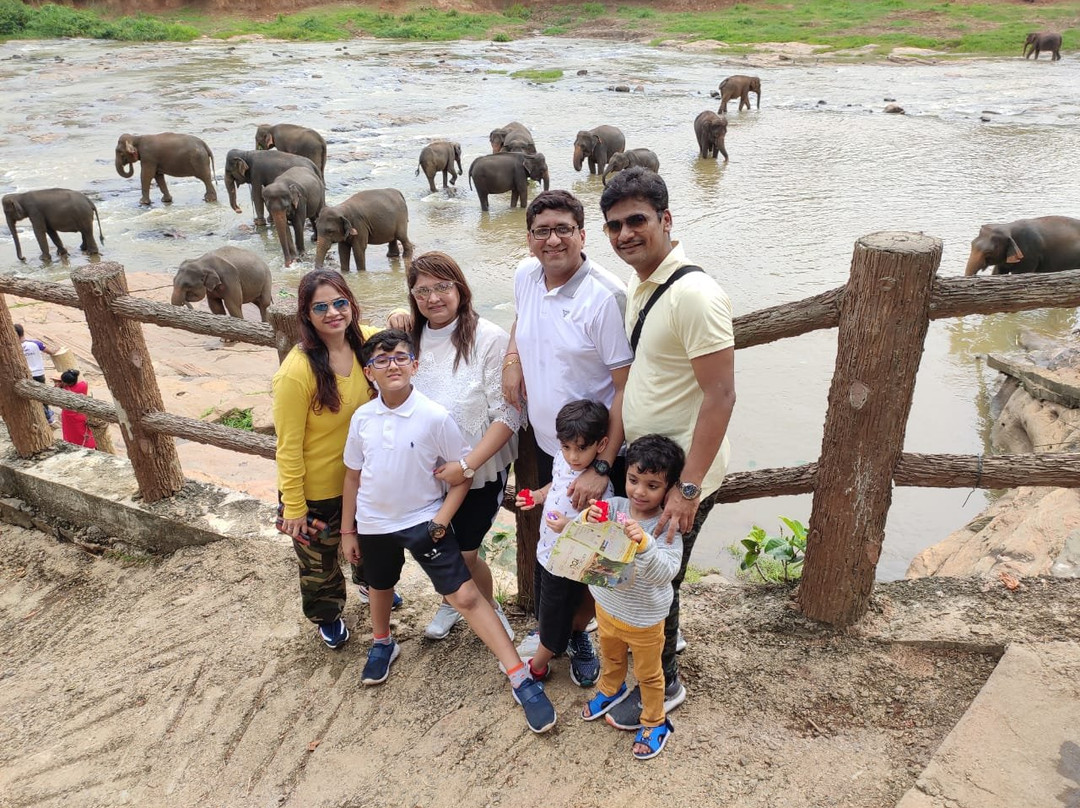 品纳维拉大象孤儿院景点图片