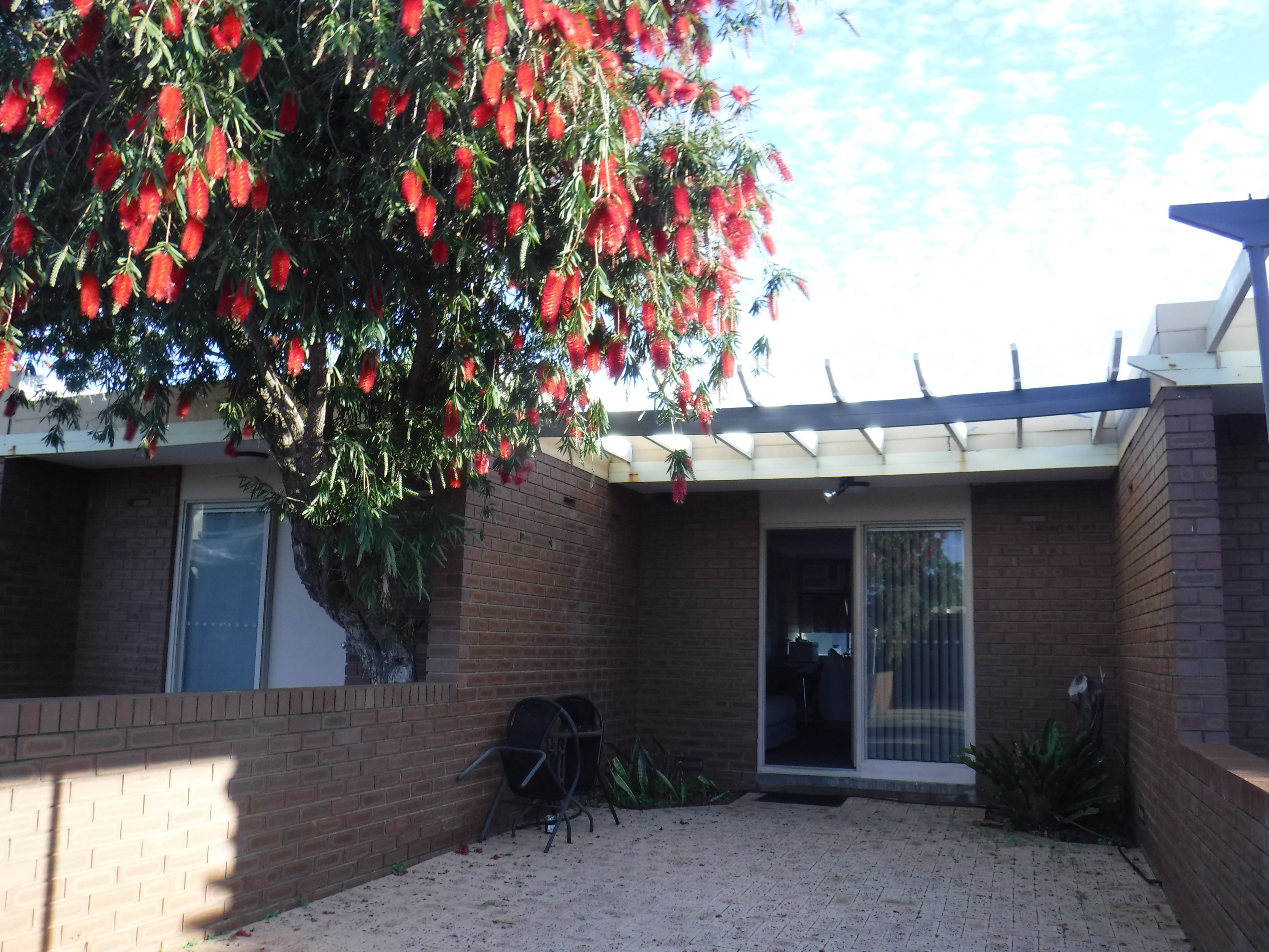 Old Mill Motel Dongara-浴室