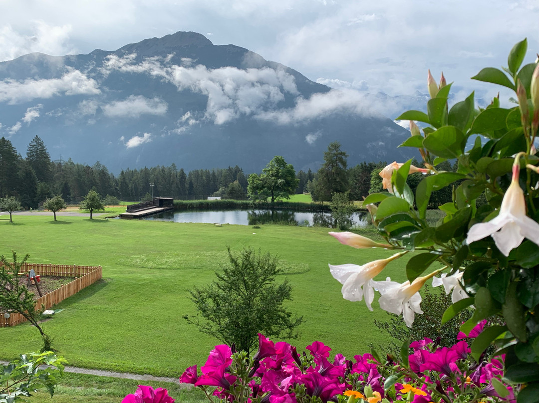 Alpenhotel Linserhof主图