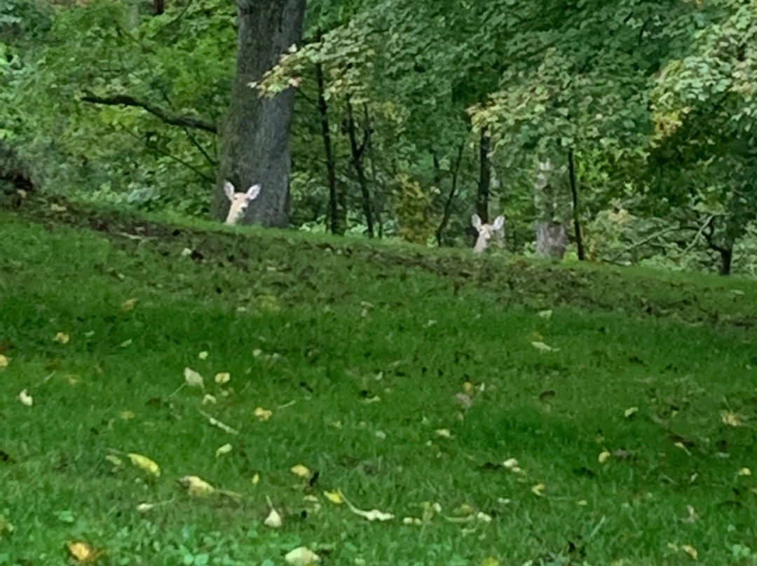 Quiet Walker Lodge主图