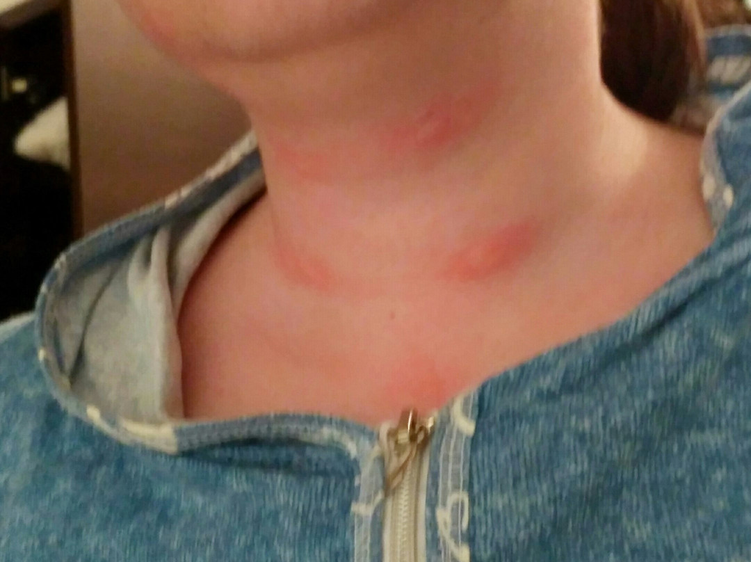 滨海城市酒店主图