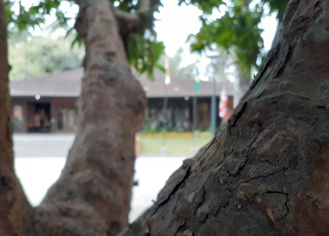 Mausoleu-Blumenau必去景点