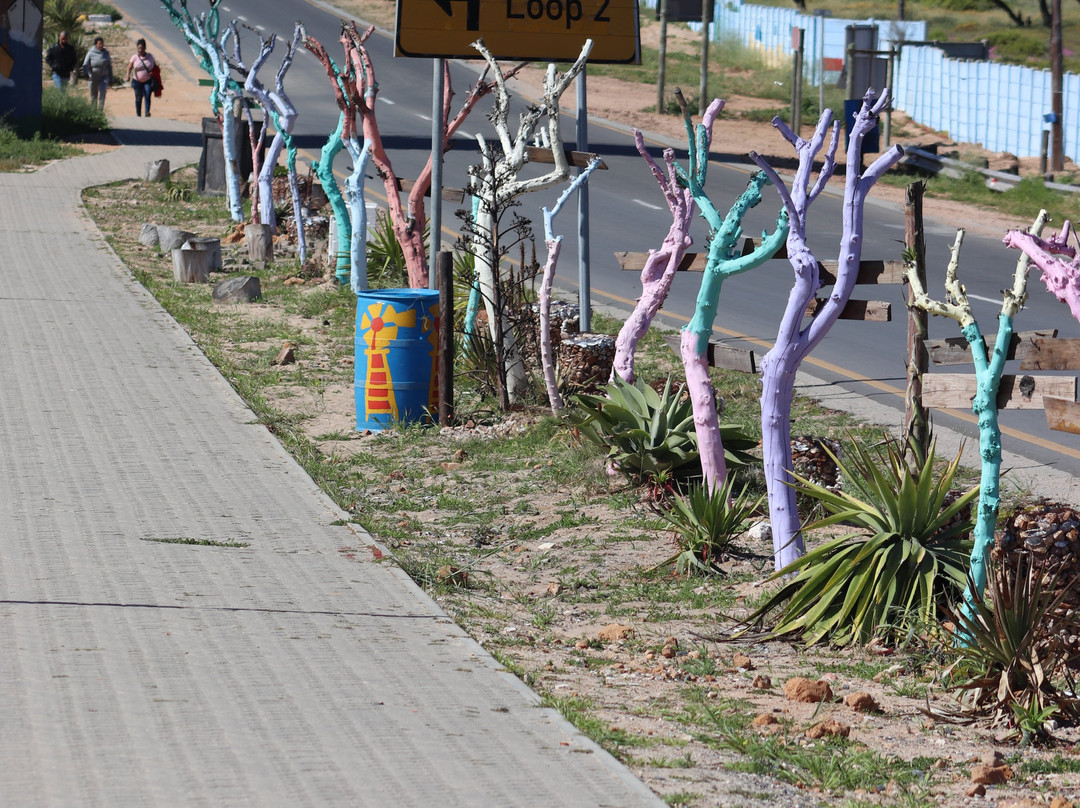 Elands Bay Beach景点图片