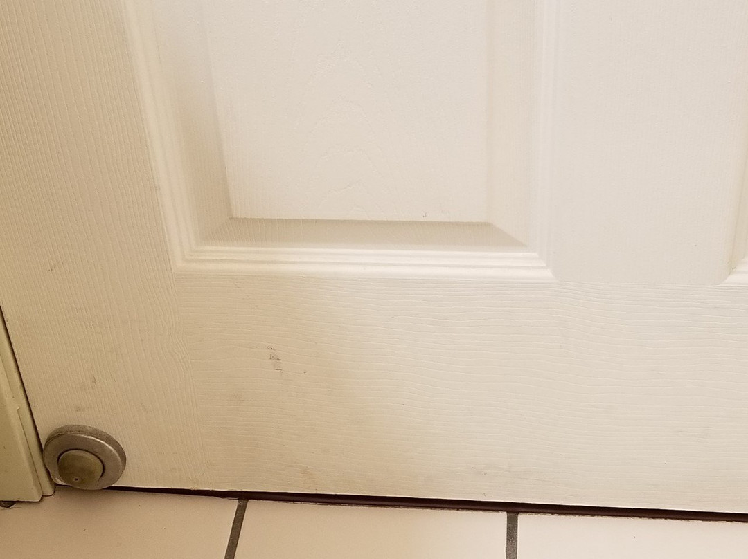 Four Points by Sheraton Appleton主图