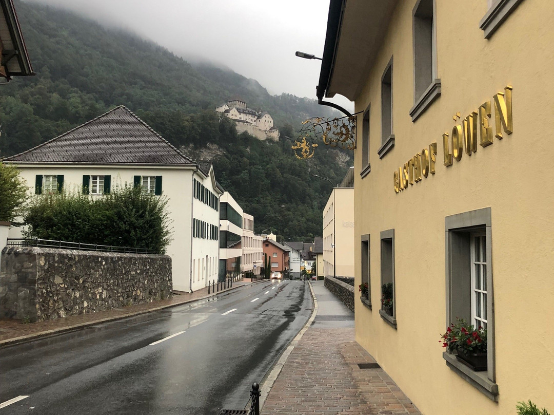 Hotel Gasthof Löwen主图