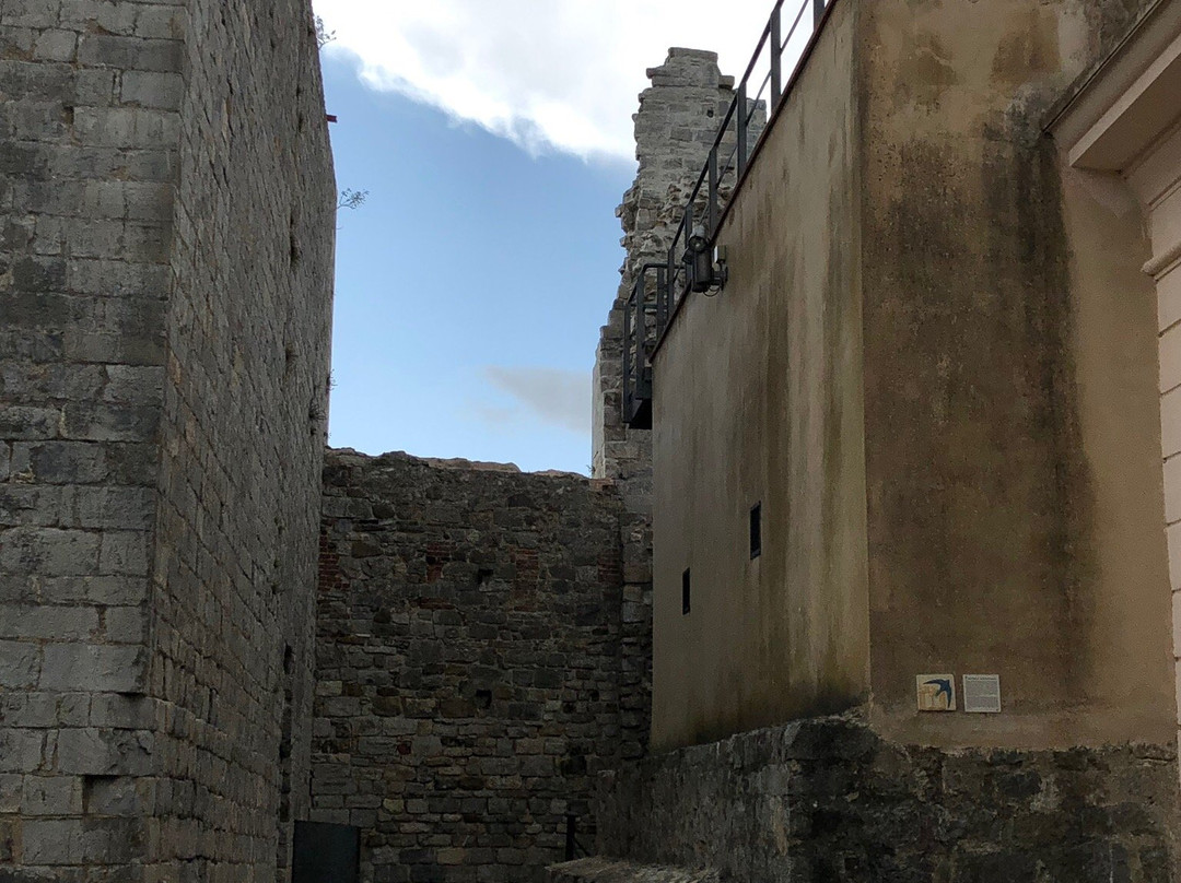 Museo della Rocca di Campiglia景点图片