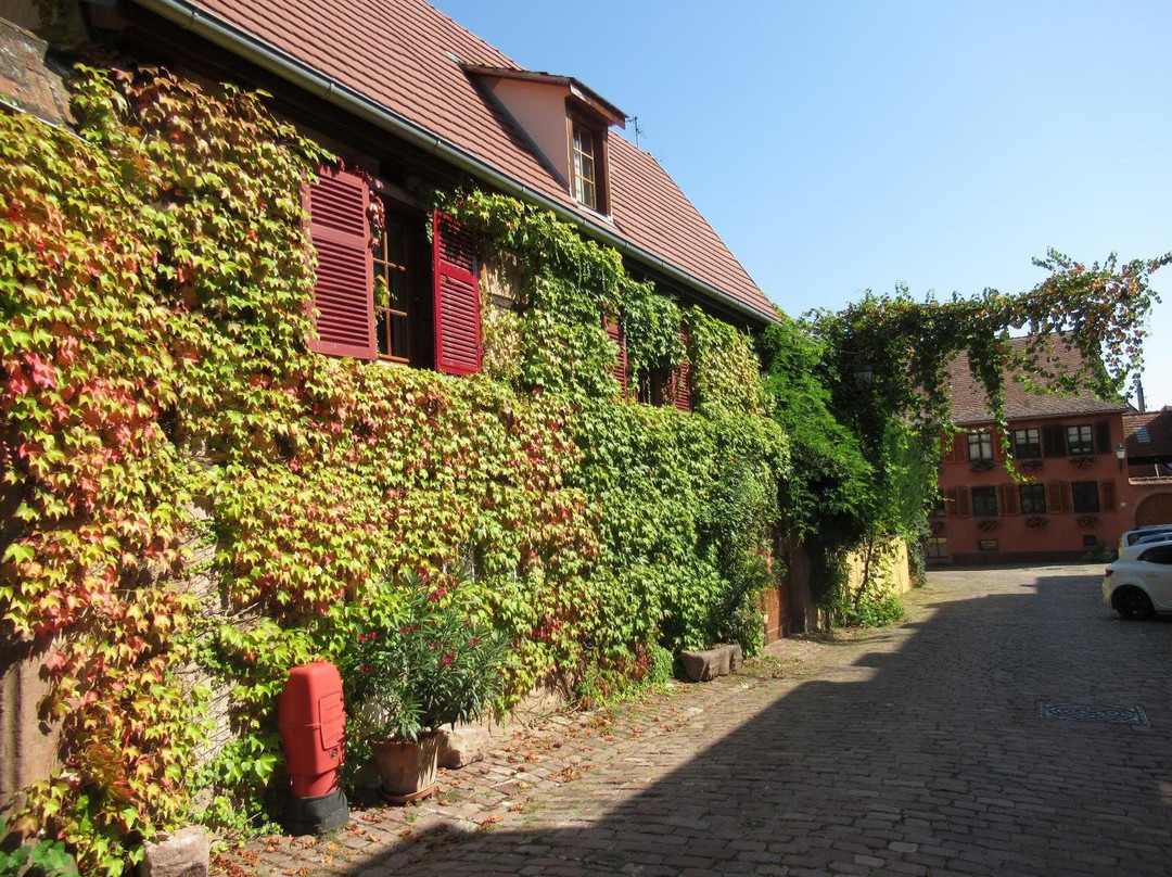 Village d'Ammerschwihr景点图片