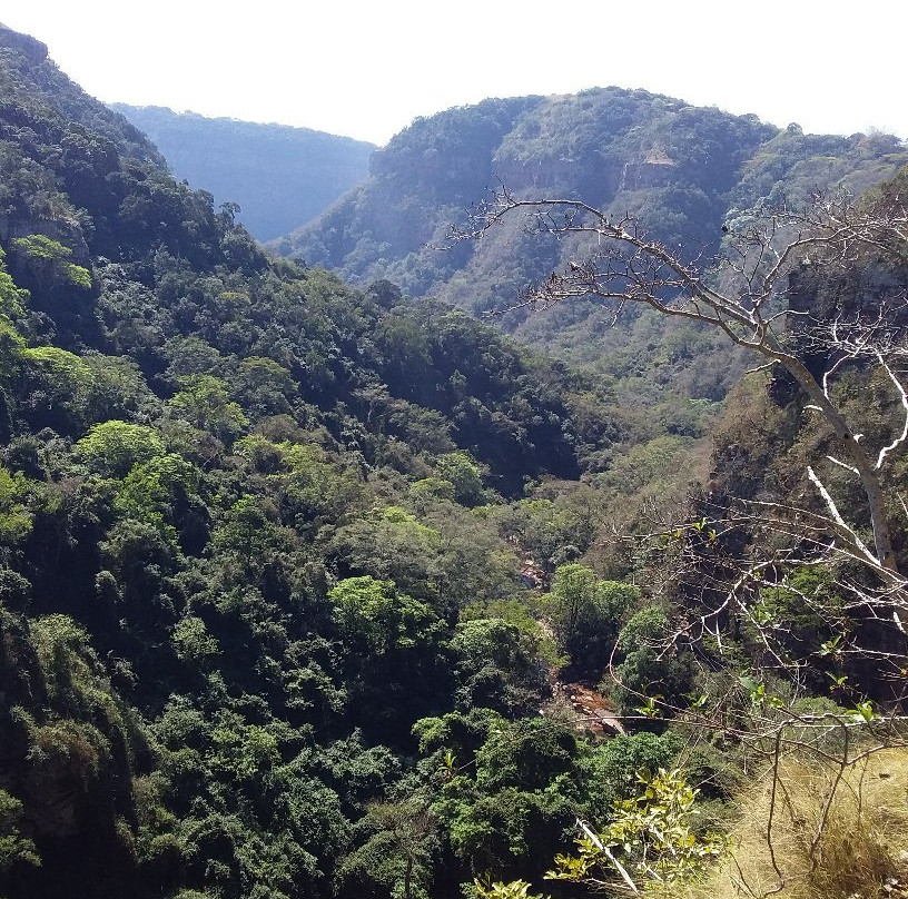 Krantzkloof Nature Reserve景点图片