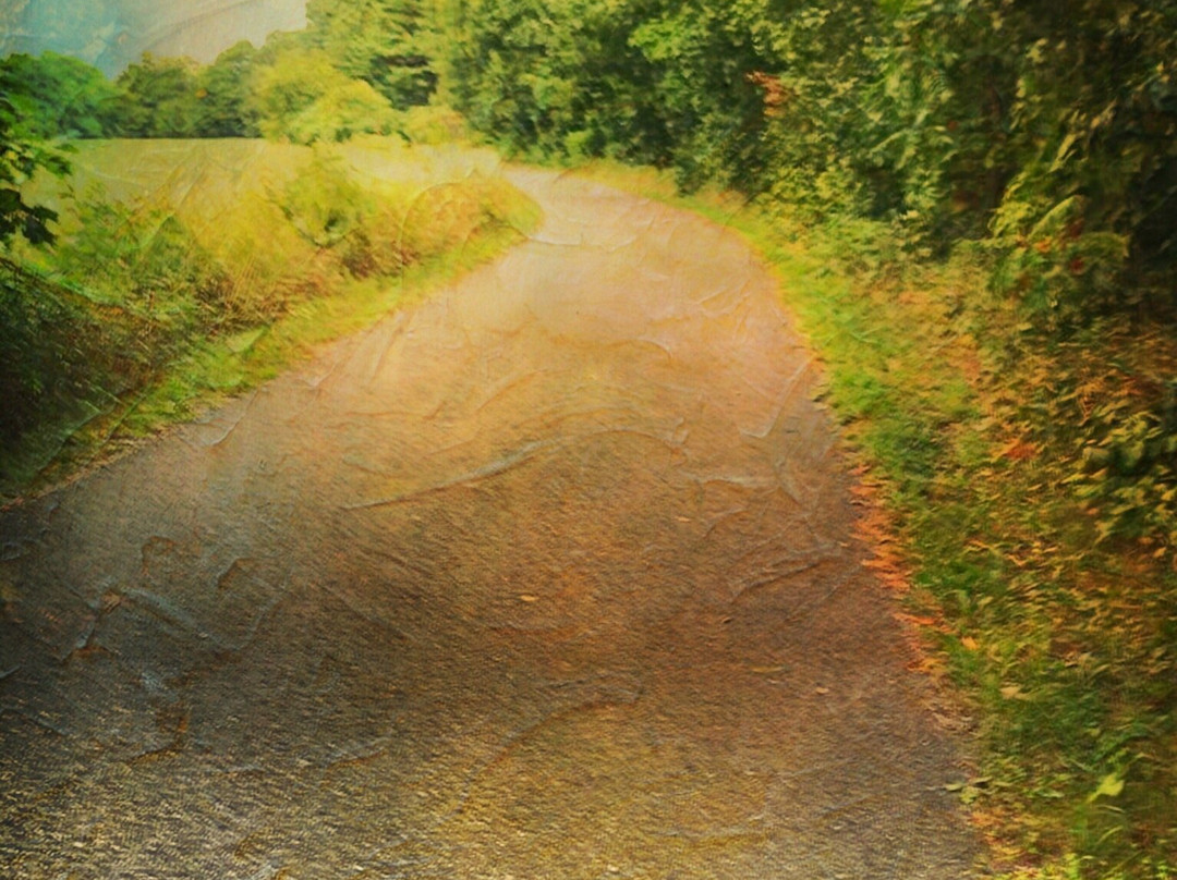 Black River Trail-Black River必去景点