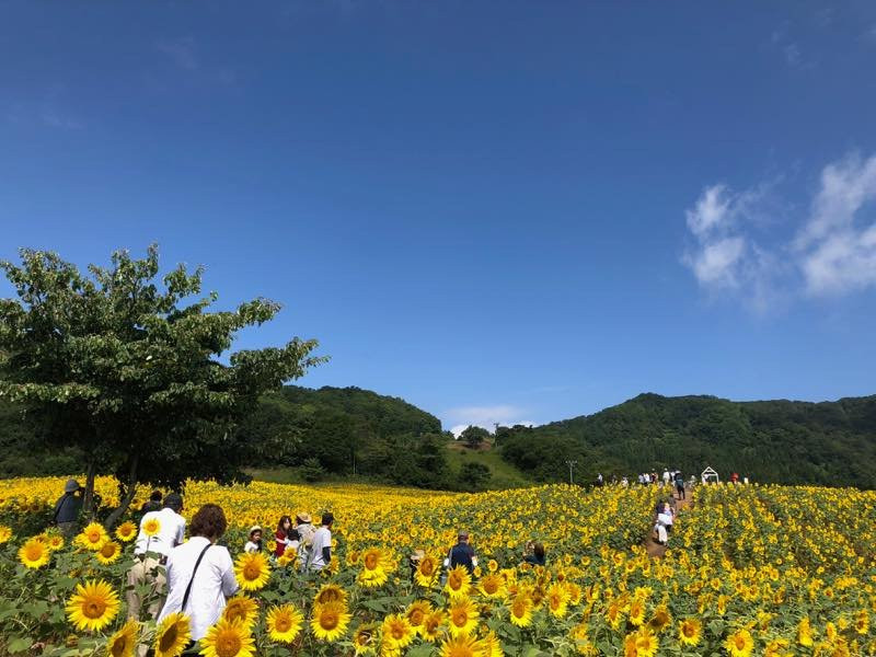 Sannokura Ski Area-喜多方市必去景点