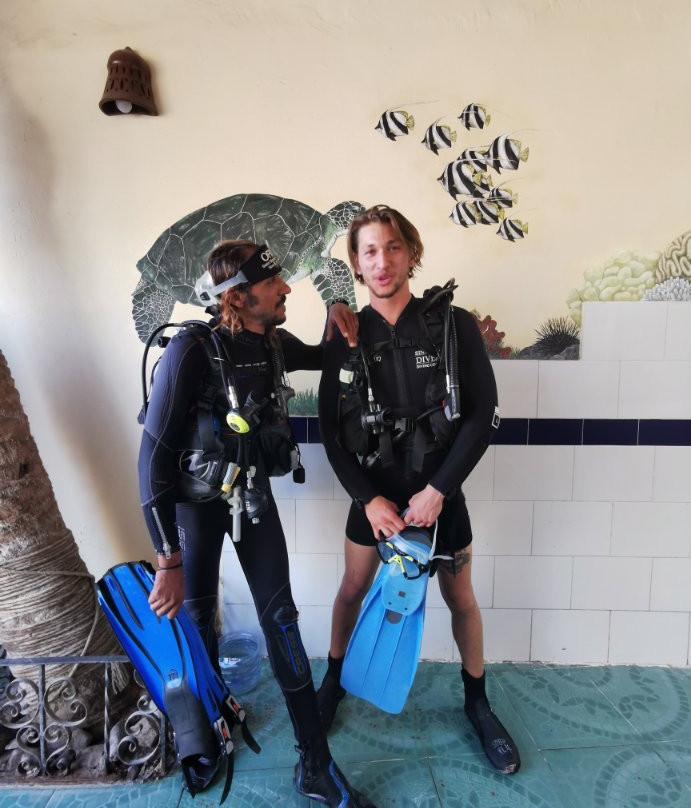 Sinai Divers Backpackers景点图片