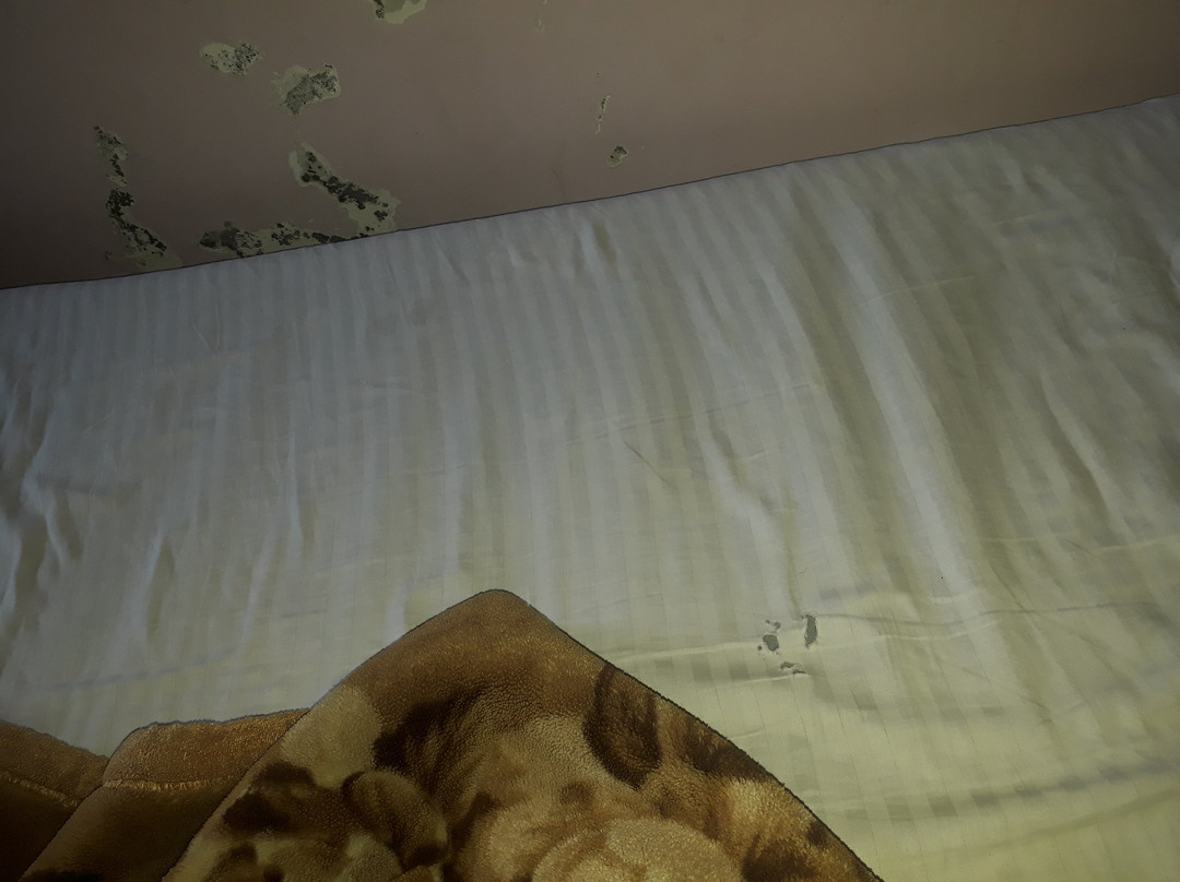 巴拉吉国际酒店主图