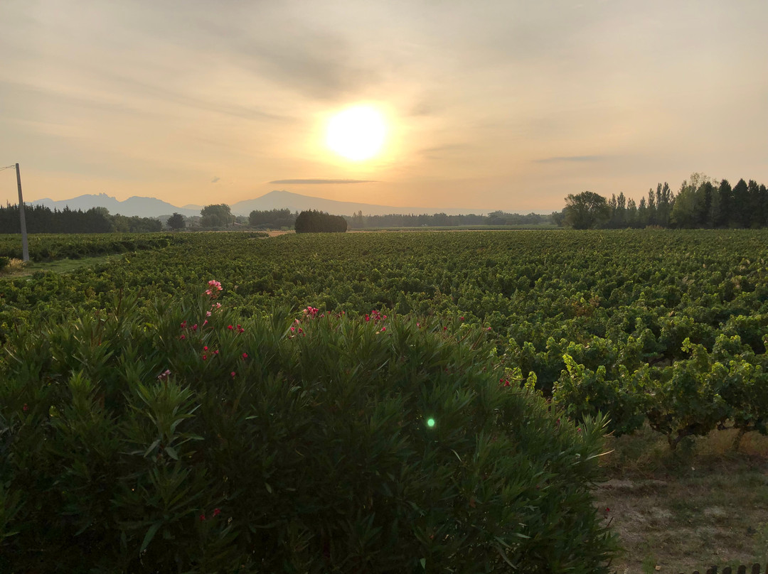 Mas du Clos de l'Escarrat主图