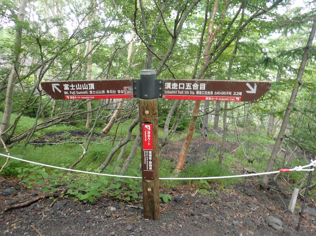 Subashiri Route景点图片