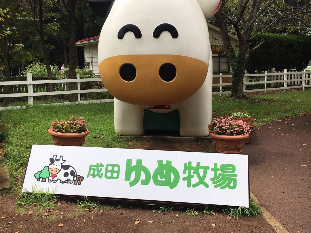 Narita Yume Farm-成田市必去景点