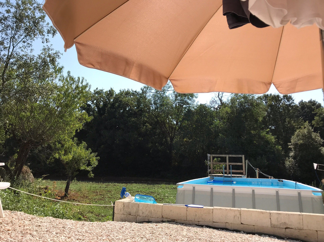 维格纳公园酒店主图