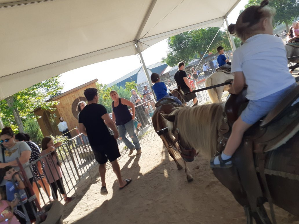 Nature Centre (Le Centre de la nature)-拉瓦尔必去景点