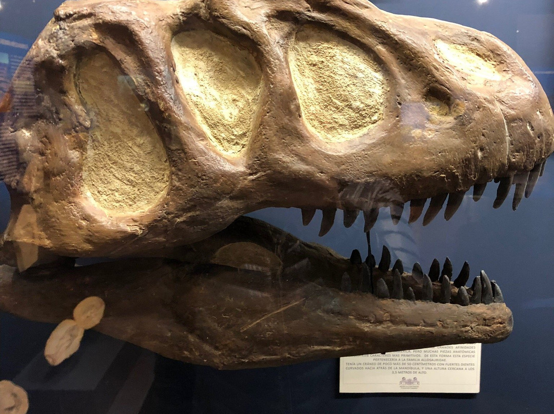 Museo Colchagua-圣克鲁斯必去景点