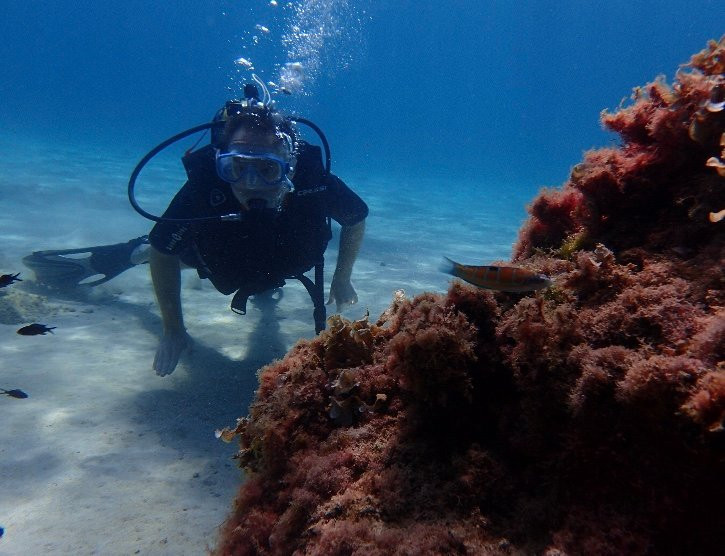 Acqua Life Dive Center-卡拉多尔必去景点