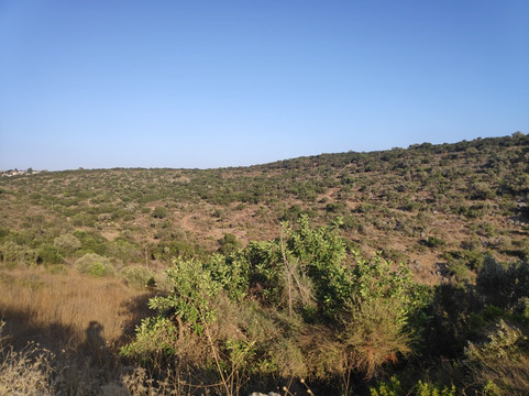 Hotem Hacarmel Nature Reserve-Zichron Yaakov必去景点