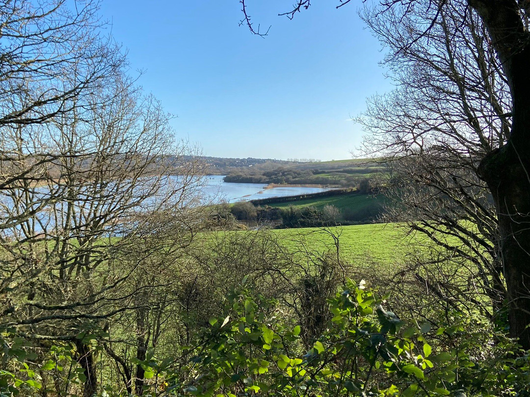 Combe Valley Countryside Park景点图片