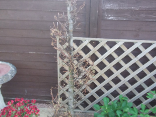 Garden Centre & Gift Shop