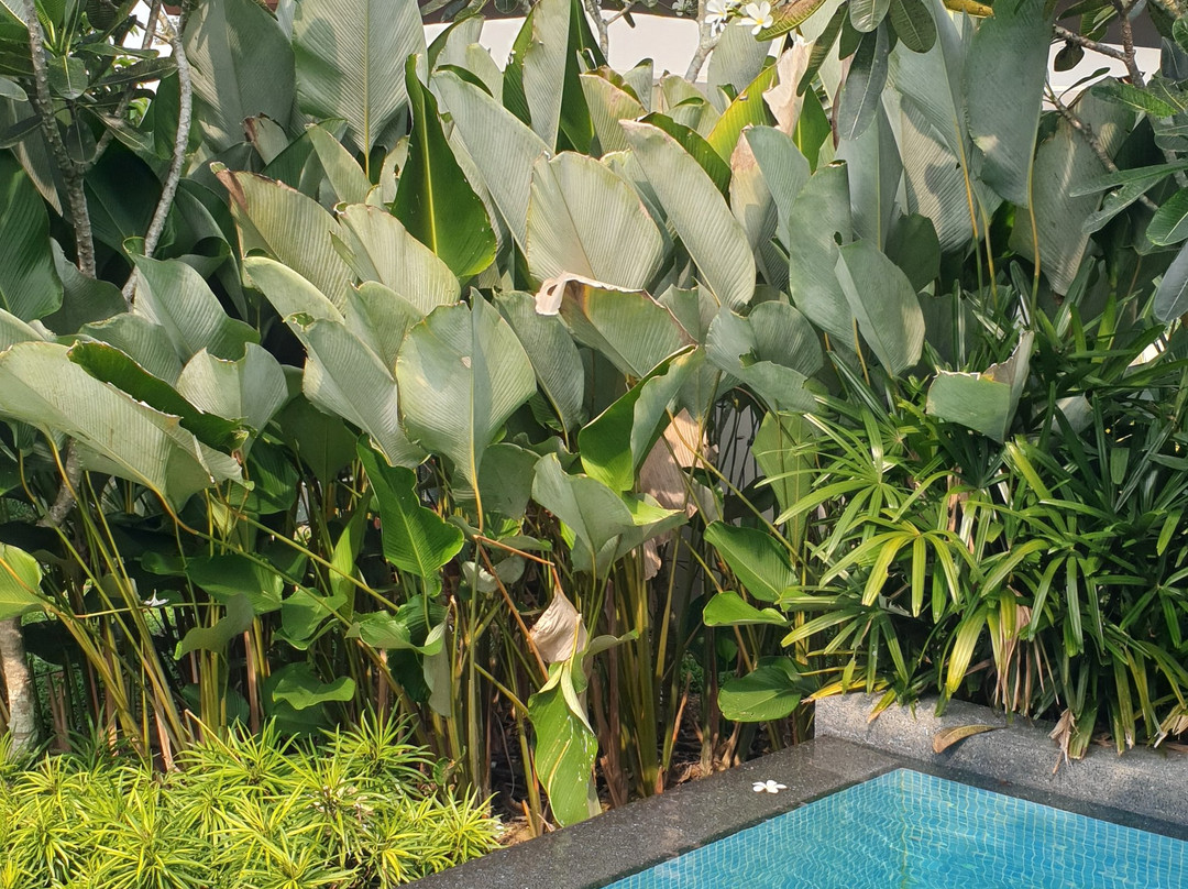 曼加拉Spa度假村主图