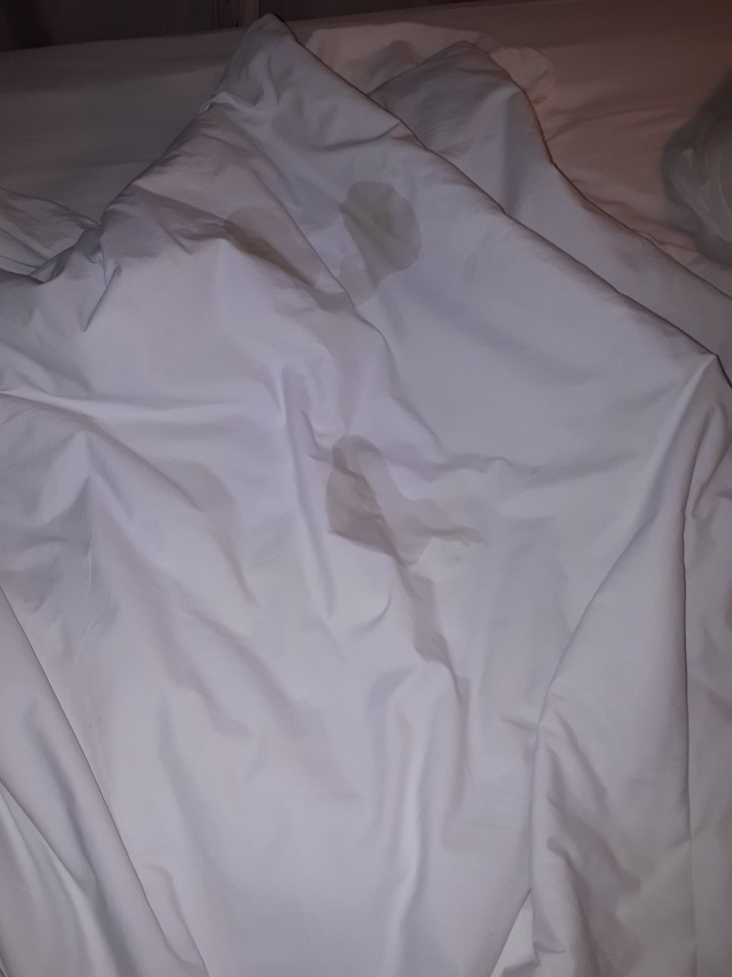 珊瑚景别墅酒店-官方