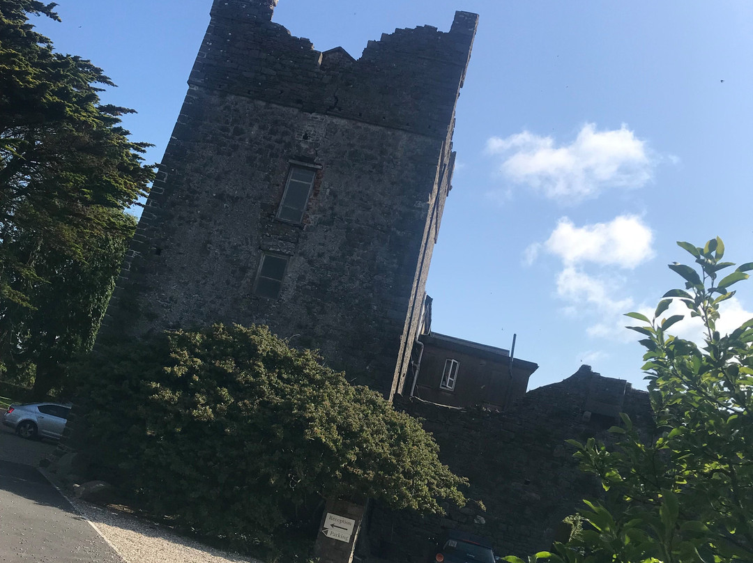 Killiane Castle Country House & Farm主图