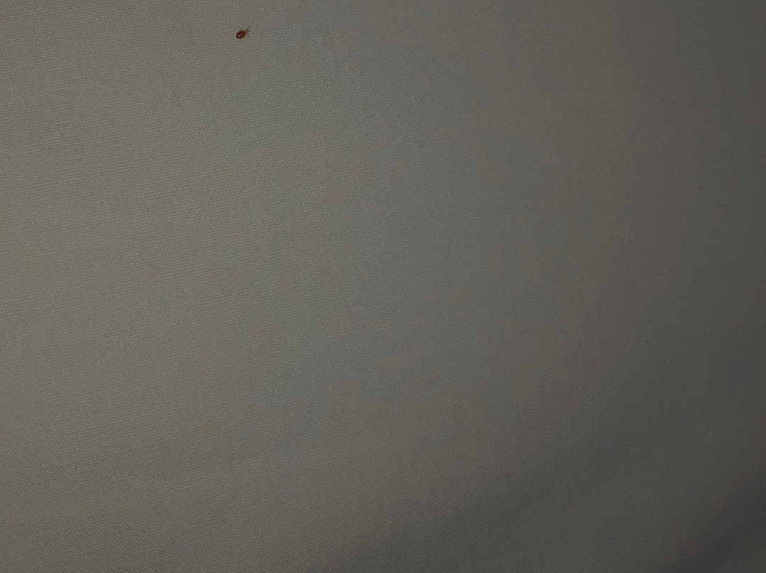 Red Roof Inn - Richmond South主图