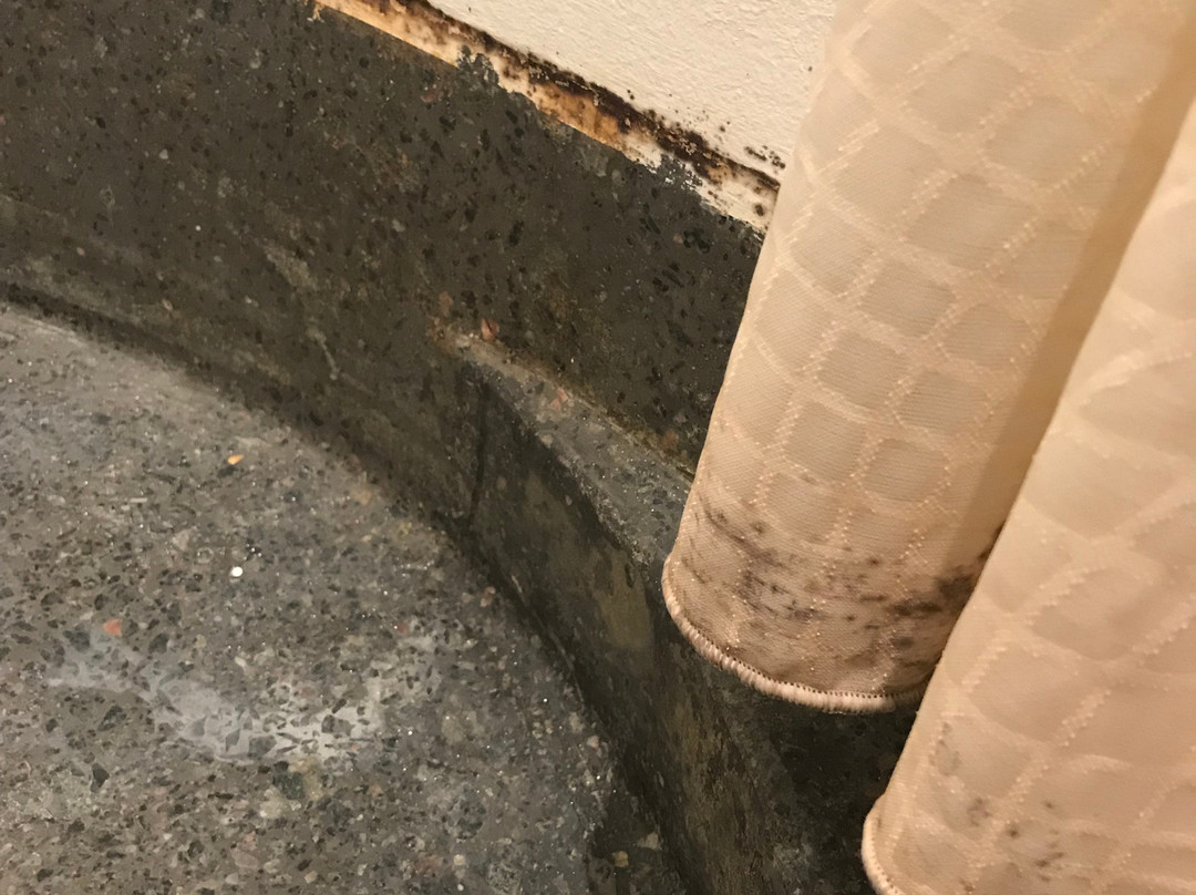 埃德瑞特斯酒店主图