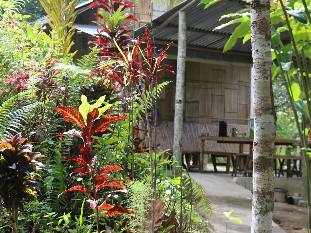 Rain Forest Inn主图