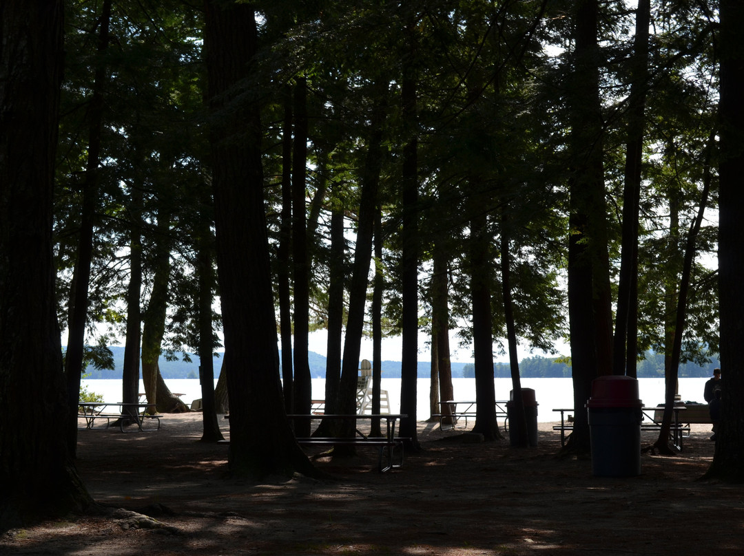 Allen Albee Beach-沃尔夫伯勒必去景点