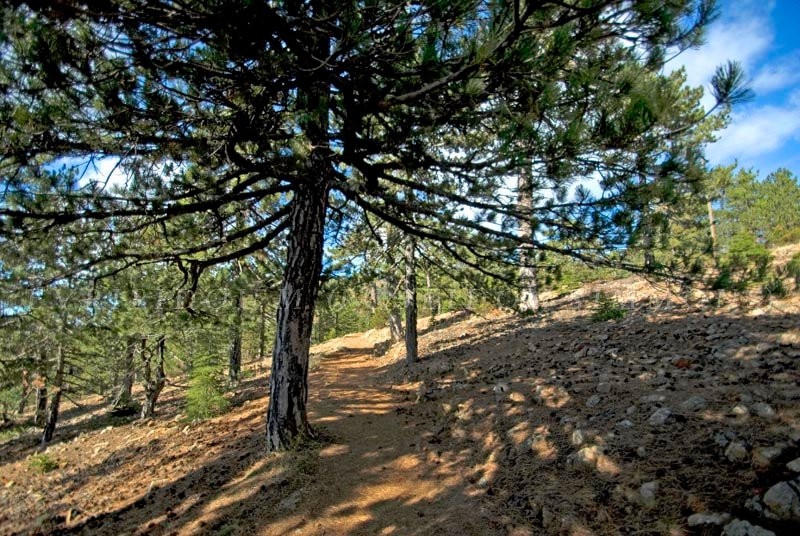 Atalante Nature Trail-特罗多斯必去景点