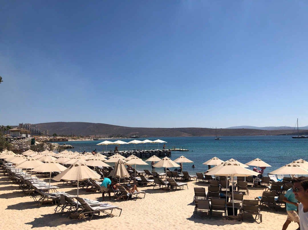 Spiaggia Grande景点图片