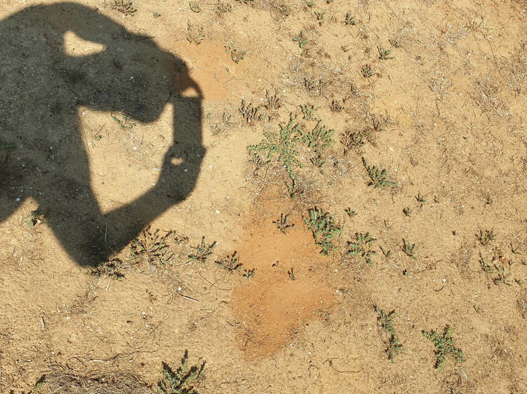 海湾套房酒店主图