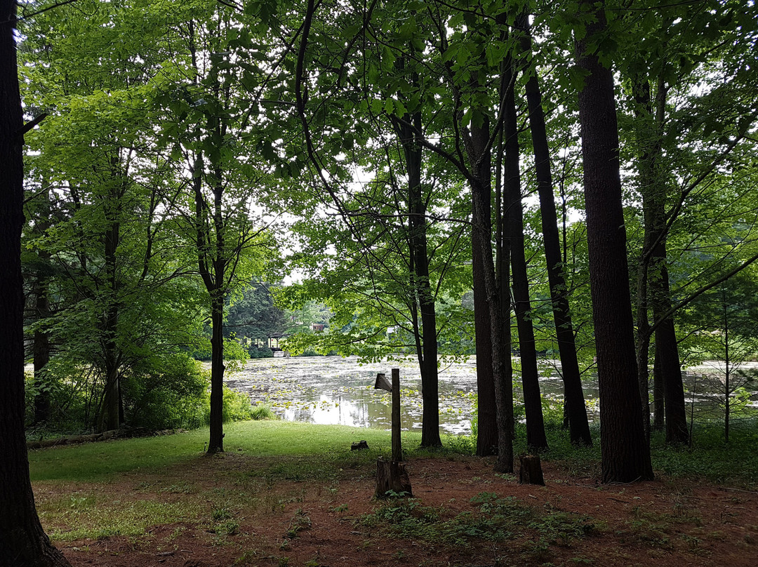 Pinecroft Pottery-Aylmer必去景点