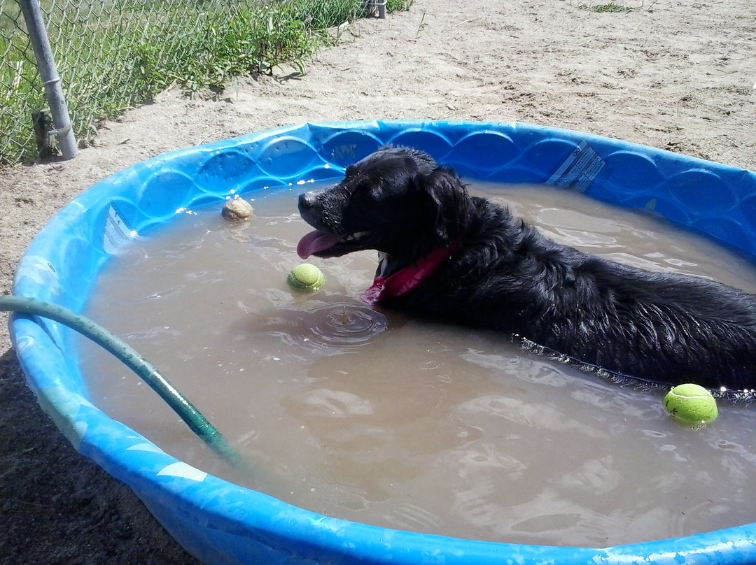 Kennebunk Dog Park景点图片