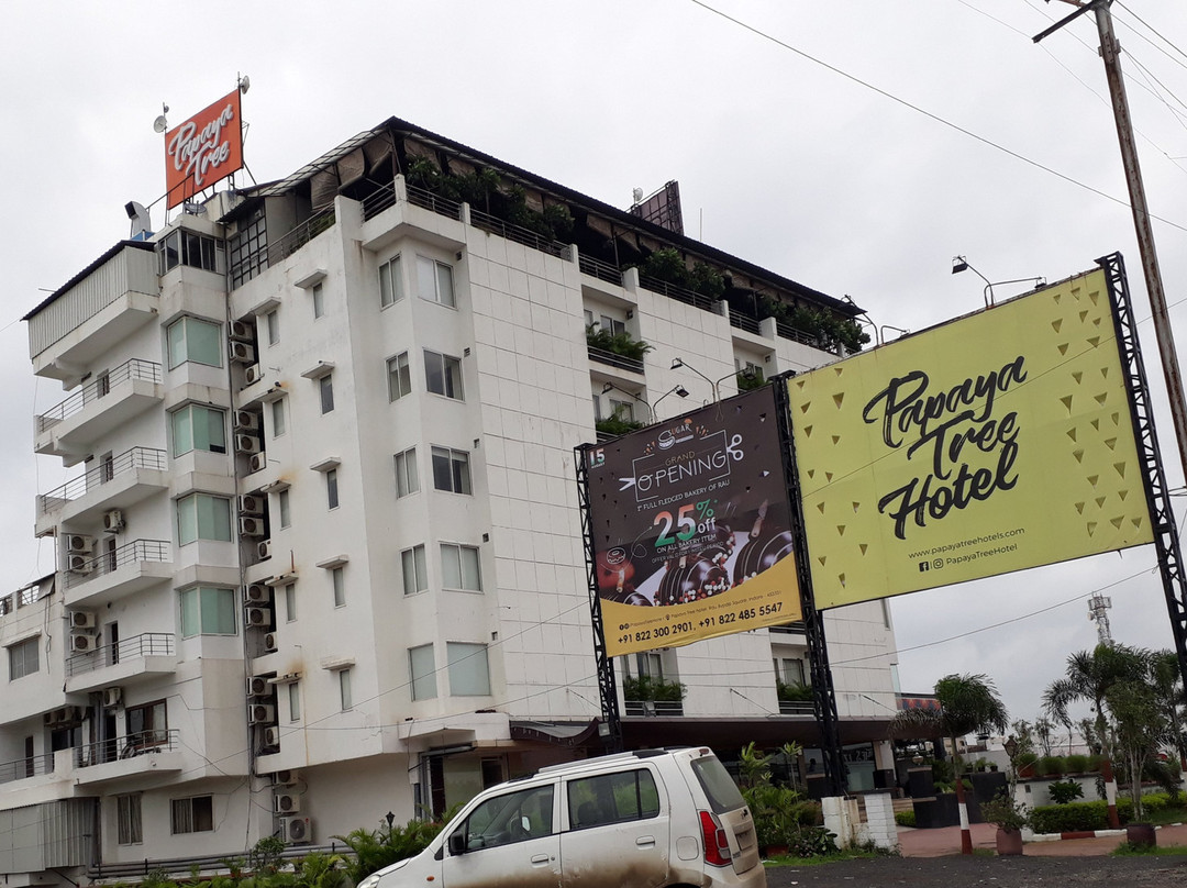 Papaya Tree Hotel主图