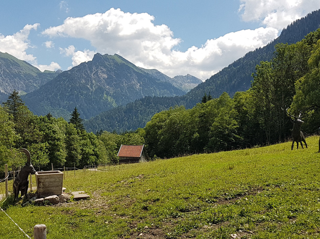 Kutschenmuseum Hinterstein-Hinterstein必去景点