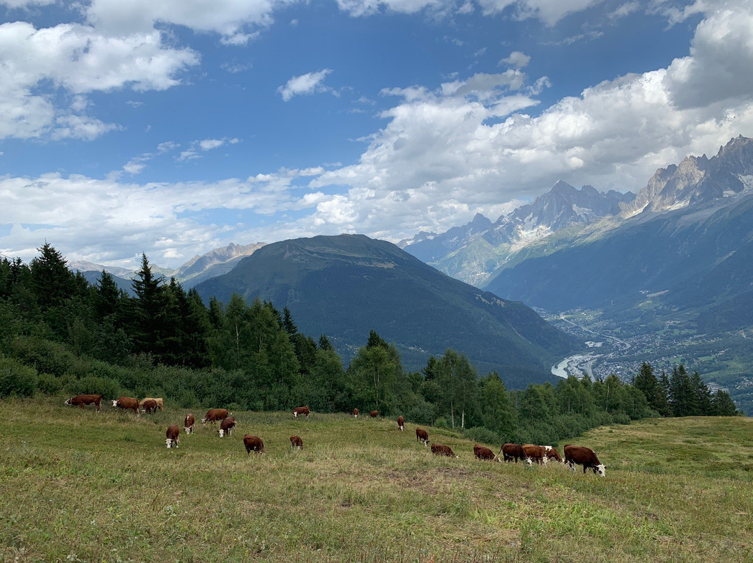 Grand Balcon Nord: Bellevue-Prarion-莱苏什必去景点
